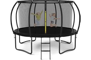 Liyarya Trampoline 12FT 14FT 15FT 16FT for Kids/Adults - Outdoor Recreational with Enclosure Net Curved Poles and Ladder, Heavy Duty Anti-Rust Coating, ASTM Approval