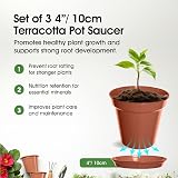 Whitefurze Garden Pot Saucer 7.5/10 cm Terracotta Set of 5 view 2