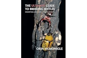 The Ultimate Guide to Breeding Beetles: Coleoptera Laboratory Culture Methods