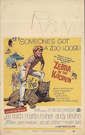 Zebra In The Kitchen 1965 Authentic 14 X 22 Original Movie