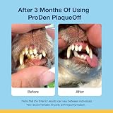ProDen PlaqueOff 60g Salmon Bites Cat Dental Care Bundle view 7