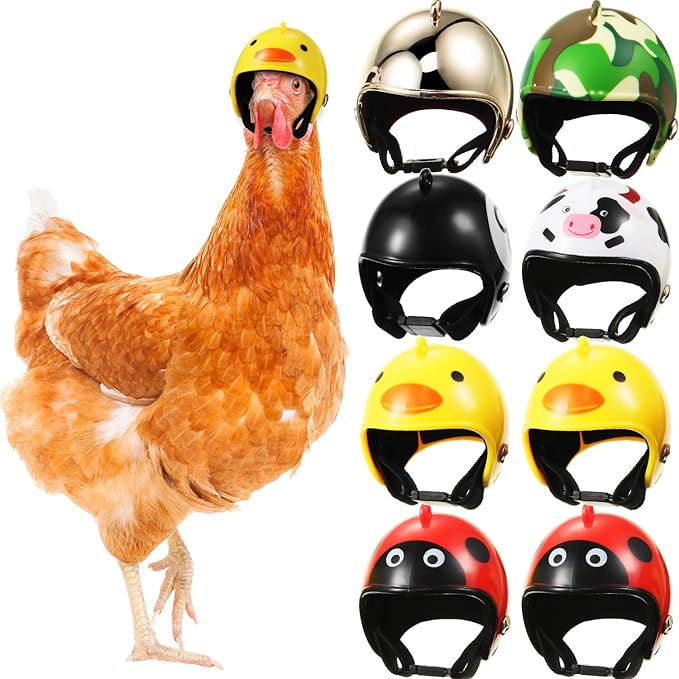 8 Pieces Chicken Helmet Pet Safety Helmet Funny Parrot