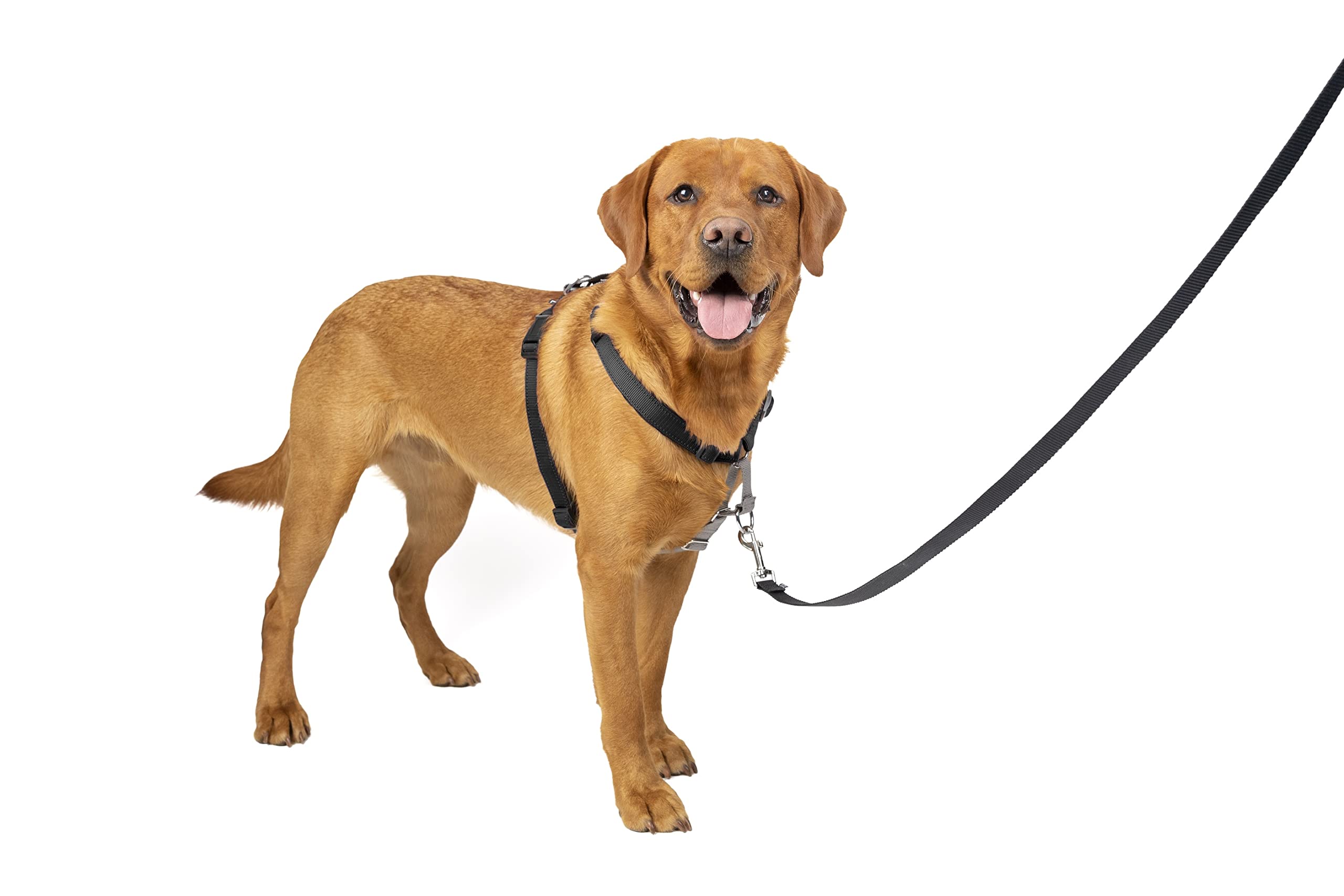 PetSafe 3-in-1 Harness - Comfortable Easy-Walk Dog Chest Harness with Front Leash Attachment to Reduce Pulling, Choking & Gagging - Dog Obedience Gear - Large - Black