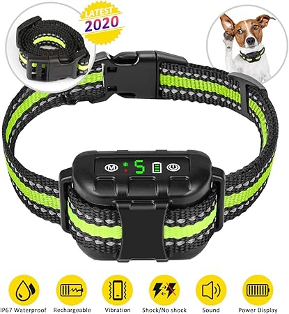 large dog shock collar amazon
