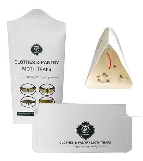 Pantry Moth Cloth Moth Traps Safe Nontoxic Odor Free Hybrid