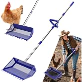 Chicken Poop Scooper Rake 2-in-1,304 Stainless Steel Shovel Head, Chicken Litter Scoop with Handle for Chicken Coop for Sand, Pet Waste Cleaning, Litter Sifting Shovel (35 to 65") (Blue, 10inch)