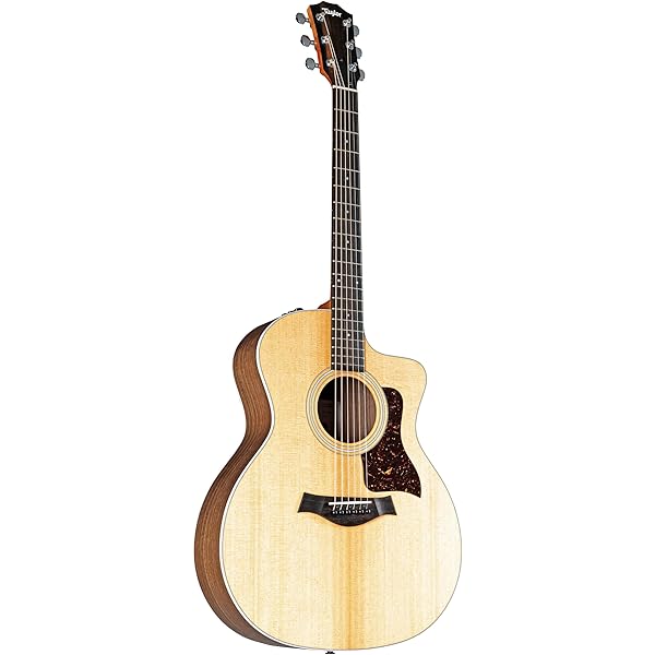 Amazon.com: Taylor Deluxe Hardshell Grand Auditorium Case