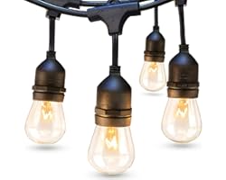 addlon 48 FT Outdoor String Lights Commercial Grade Weatherproof Strand Edison Vintage Bulbs 15 Hanging Sockets, UL Listed He