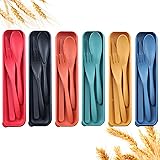 Reusable Travel Utensils Set with Case, 6 Sets