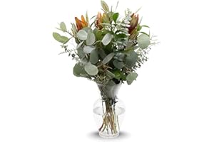 Stargazer Barn - Magnificent Mixed Eucalyptus Bouquet (Includes Glass Vase) - Fresh Flowers for Delivery - Gift for Anniversary, Birthday, Congratulations, Get Well, Graduation, Sympathy, Christmas
