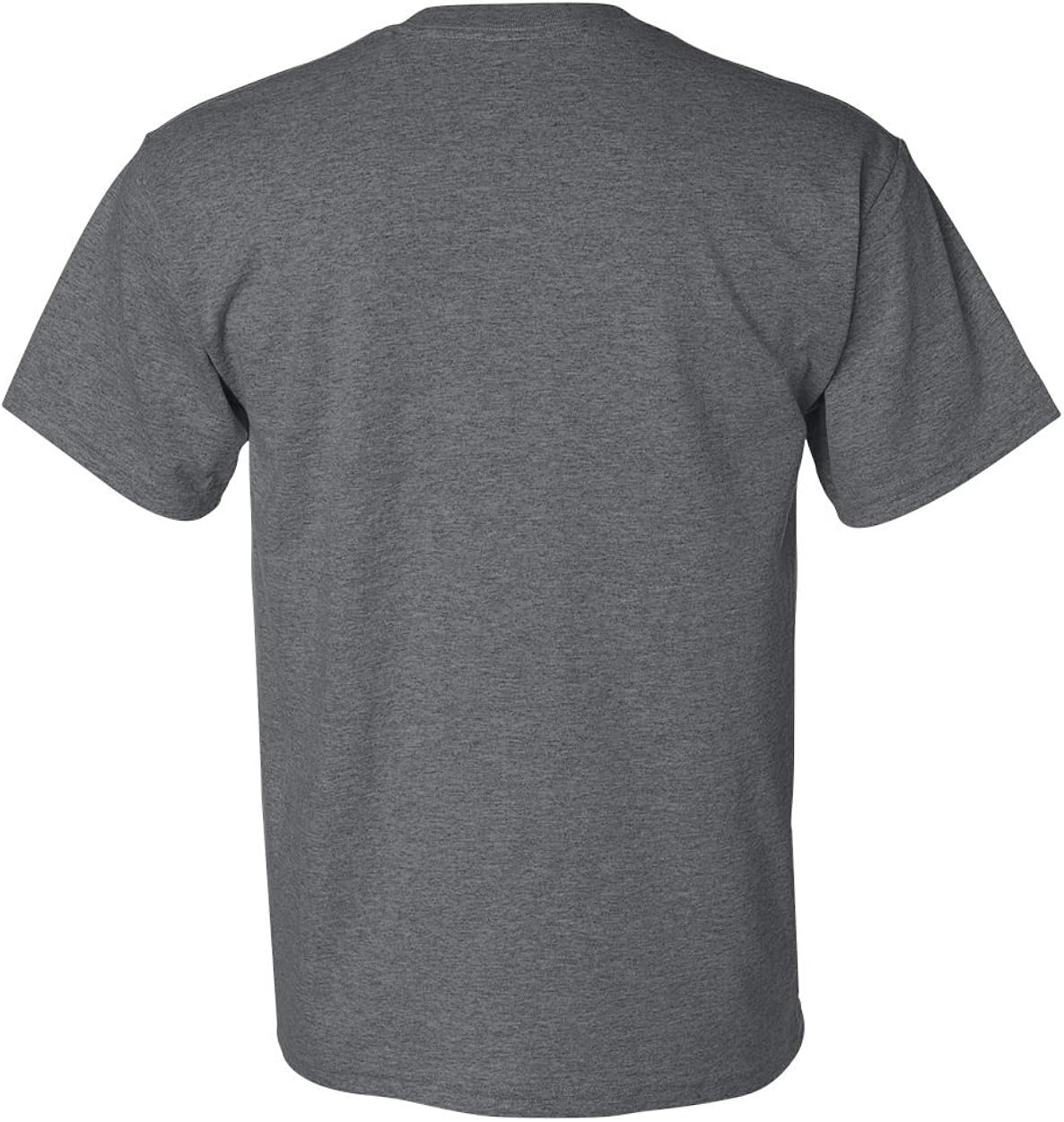 Adult Dryblend T-Shirt 10 Pack | 