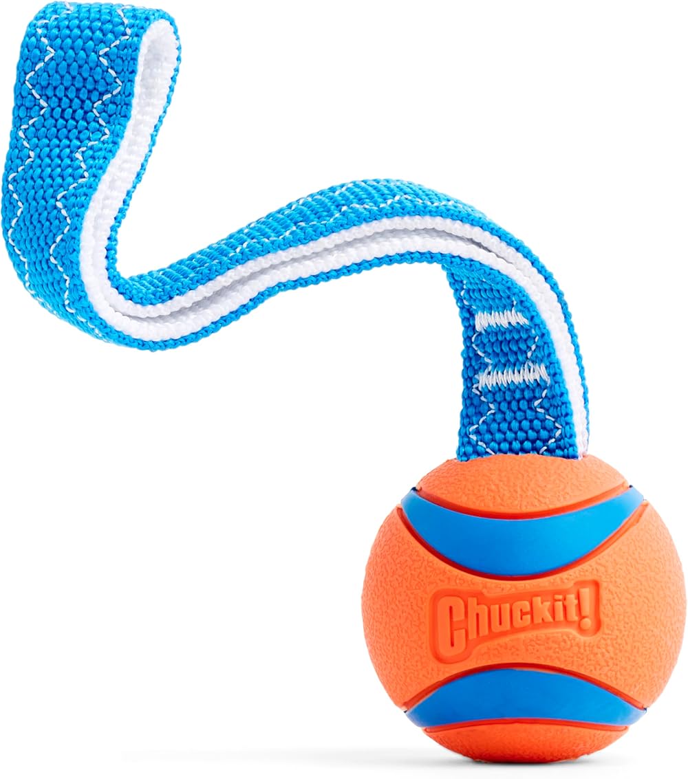 Chuckit! Ultra Tug Dog Toy Medium 6.5 cm Interactive Rubber Ball Tug of War &
