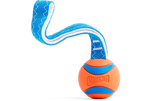 Chuckit! Medium Ultra Tug