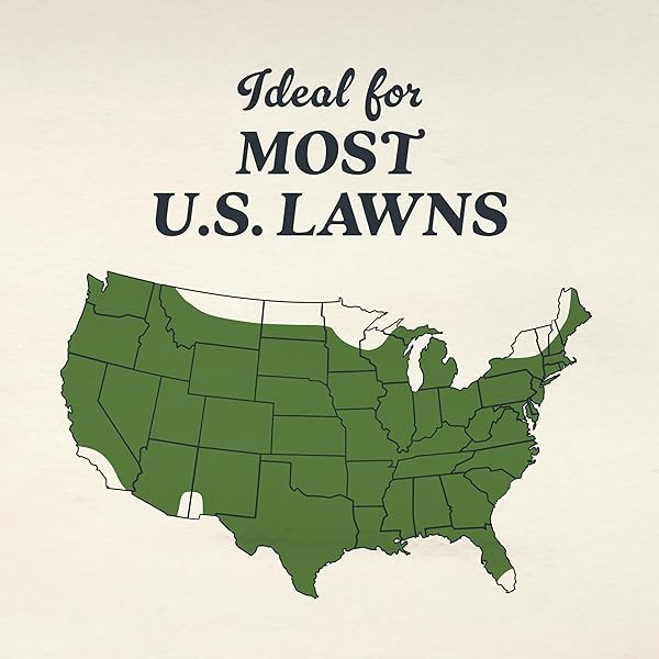 O.M. SCOTT AND SONS CLOVER SEED – LAWN SEED GROWS A NATURALLY LOW MAINTENANCE, DROUGHT-TOLERANT LAWN, 1,000 SQ. FT., 2 LB.