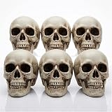 71cn9QsZnuL. AC UL160 SR160,160 Who are the Gede Spirits? Understanding the Guardians of Life and Death