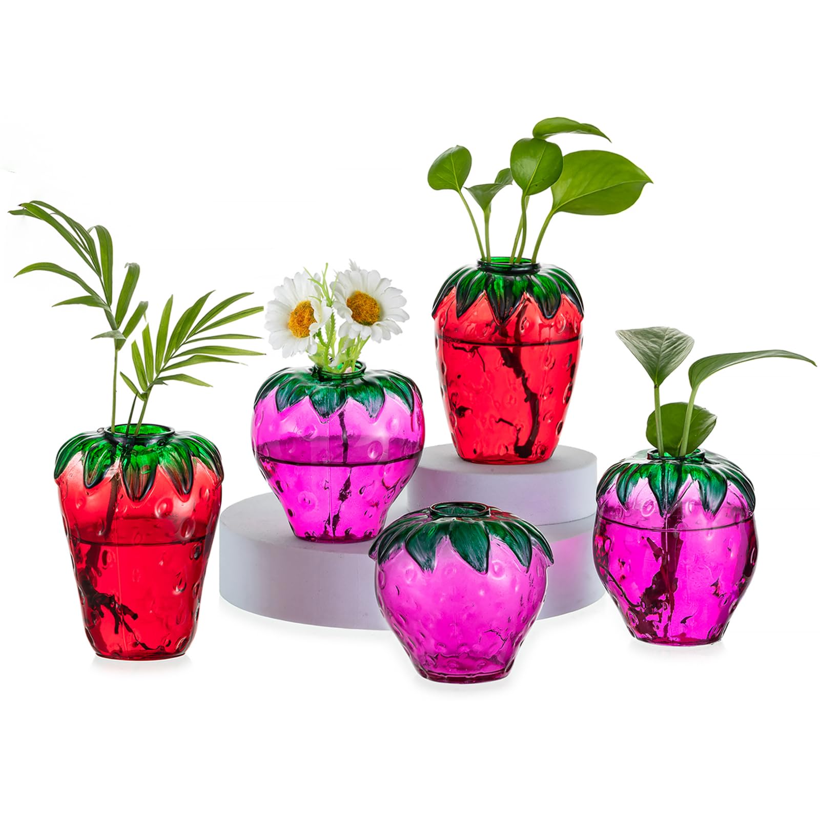 Photo 1 of **************MISSING 2 OF THEM**************
Glass Strawberry Propagation Vases for Plants: 5PCS Cute Strawberry Decor for Home Kitchen Bathroom Office - Unique Indoor Hydroponic Planters Gifts for Mom Women Mothers Day (Pink&Red)