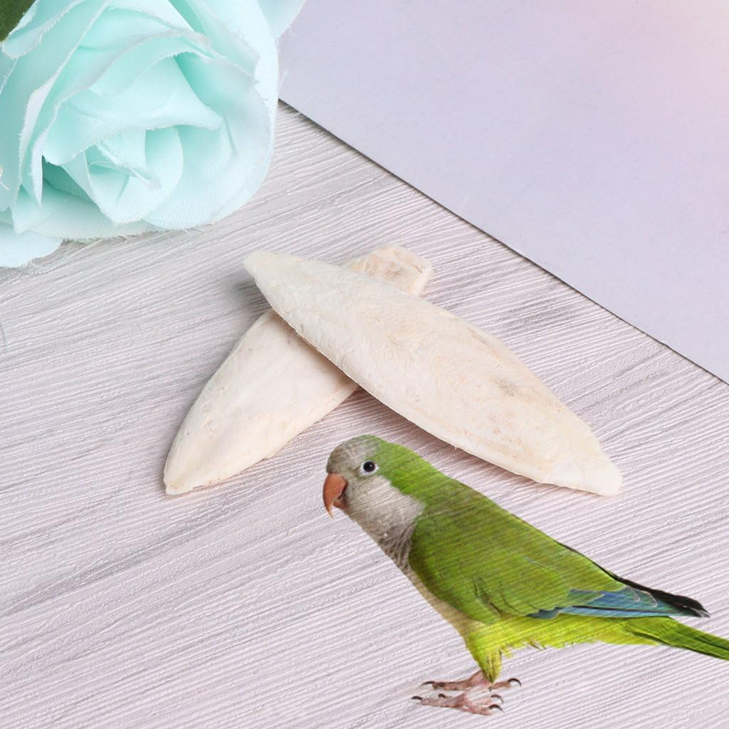 cuttlefish bone for dogs