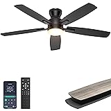 Ohniyou Ceiling Fans with Lights, 52'' Low Profile