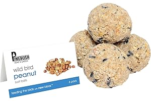 Small Suet Balls - Peanut- 6 Pack