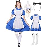 CICOCI Adult Halloween Costume Womens Fairy Tales Charactor Blue Dress Cosplay Full Set