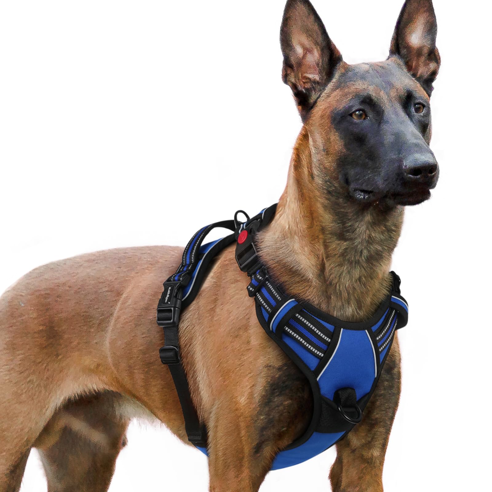 rabbitgoo Dog Harness Large Dog with Neck Release Buckle, No Pull Harness with Front Back Clips, Adjustable Soft Padded with Easy Control Handle, Reflective No-choke Pet Walking Vest, Blue, XL