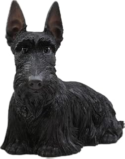 Amazon Com Ebros Adorable Large Lifelike Realistic Black