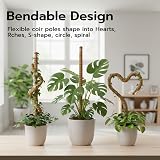 Mcbazel Moss Pole 2-Pack 60cm Bendable Coir Plant Support with Ties view 3