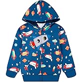 Toddler Kids Zip Up Hoodie Sweatshirt Fall Clothes Boys Hooded Jacket 2-7 Years