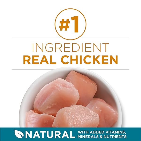 PURINA ONE NATURAL DRY CAT FOOD, TENDER SELECTS BLEND WITH REAL CHICKEN – 7 LB. BAG