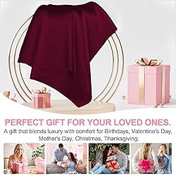 Mulberry Silk Pillow Cases 2 Pack Queen Size 20x30