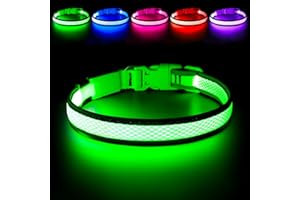 Flashseen LED Dog Collar, Light Up Dog Collar Lights USB Rechargeable, Adjustable Comfortable Soft Mesh Safety Collar for Small, Medium, Large Dogs(Large, Neon Green)