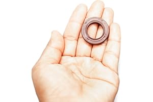 EAI 18mm x 30mm x 6mm FPM/FKM TC Double Lip w/Stainless Steel Spring Oil Seal. Comp. /w Viton Shaft Seal