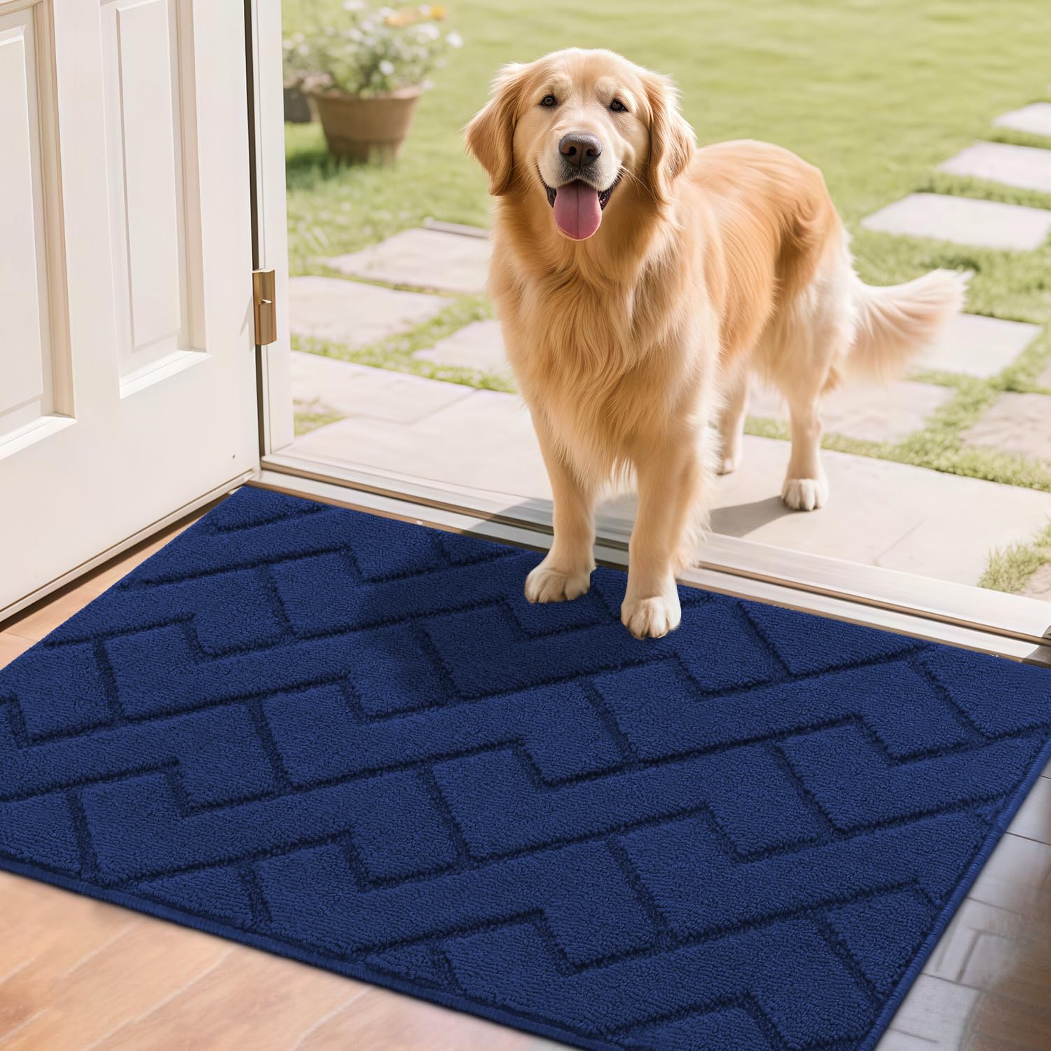 Biscpro Door Mat 60x90cm,Indoor DoorMat Washable,Doormat Indoor Dirt Trapper Non-slip,Absorbent Inside Entrance Rug Floor Mat for Entryway,Patio,Garden,Laundry Room,Pets - Blue