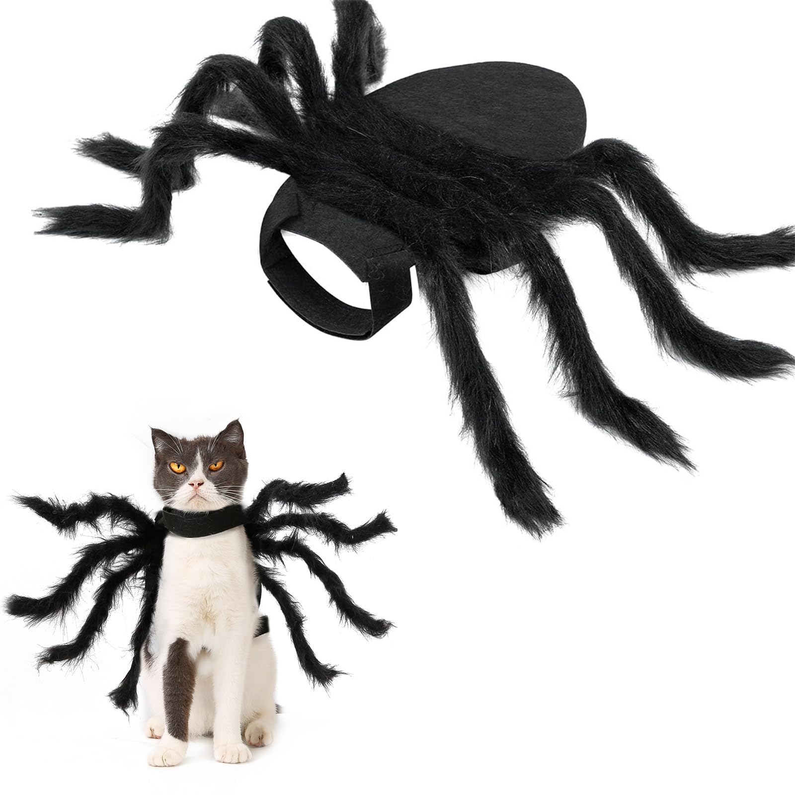 Lifreer Pet Dog Halloween Spider Costume, Costume Cosplay, Dogs Cats Furry Simulation Pets Outfits Dress up for Small Medium Puppy Cats, Medium, Black