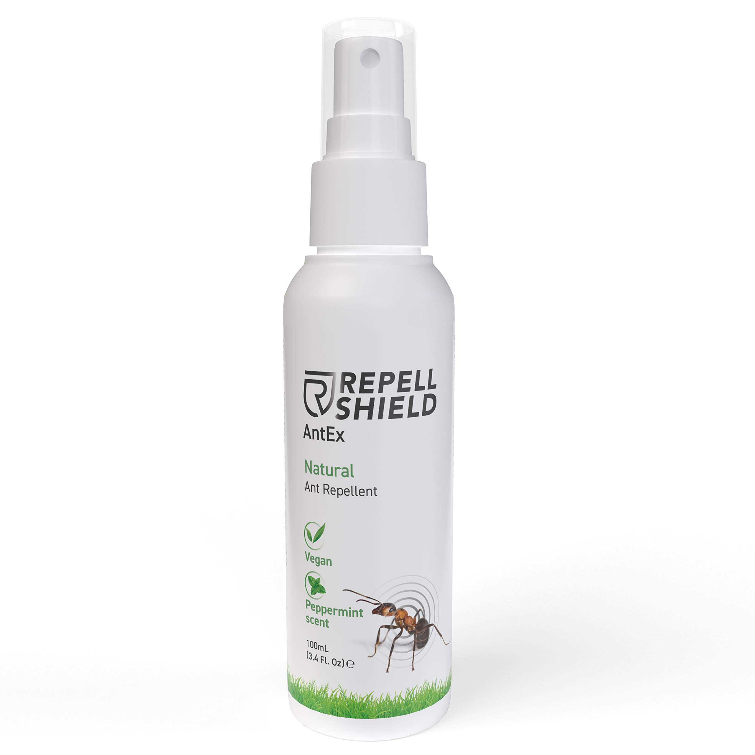 RepellShield Anti Ant Spray Indoors & Outdoor Insect Repellent Spray - Ideal Ant Repellent & Ant Stop Spray With Lavender & Neem Oil - Alternative to Ant Bait, Ant Trap & Ant Killer Spray, 100ml
