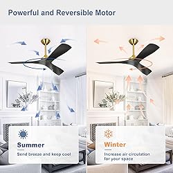 BvenuBigLite Modern Ceiling Fan with Remote: Black