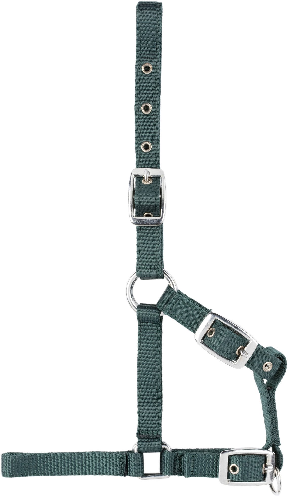 USG Fully Adjustable Foal, Green