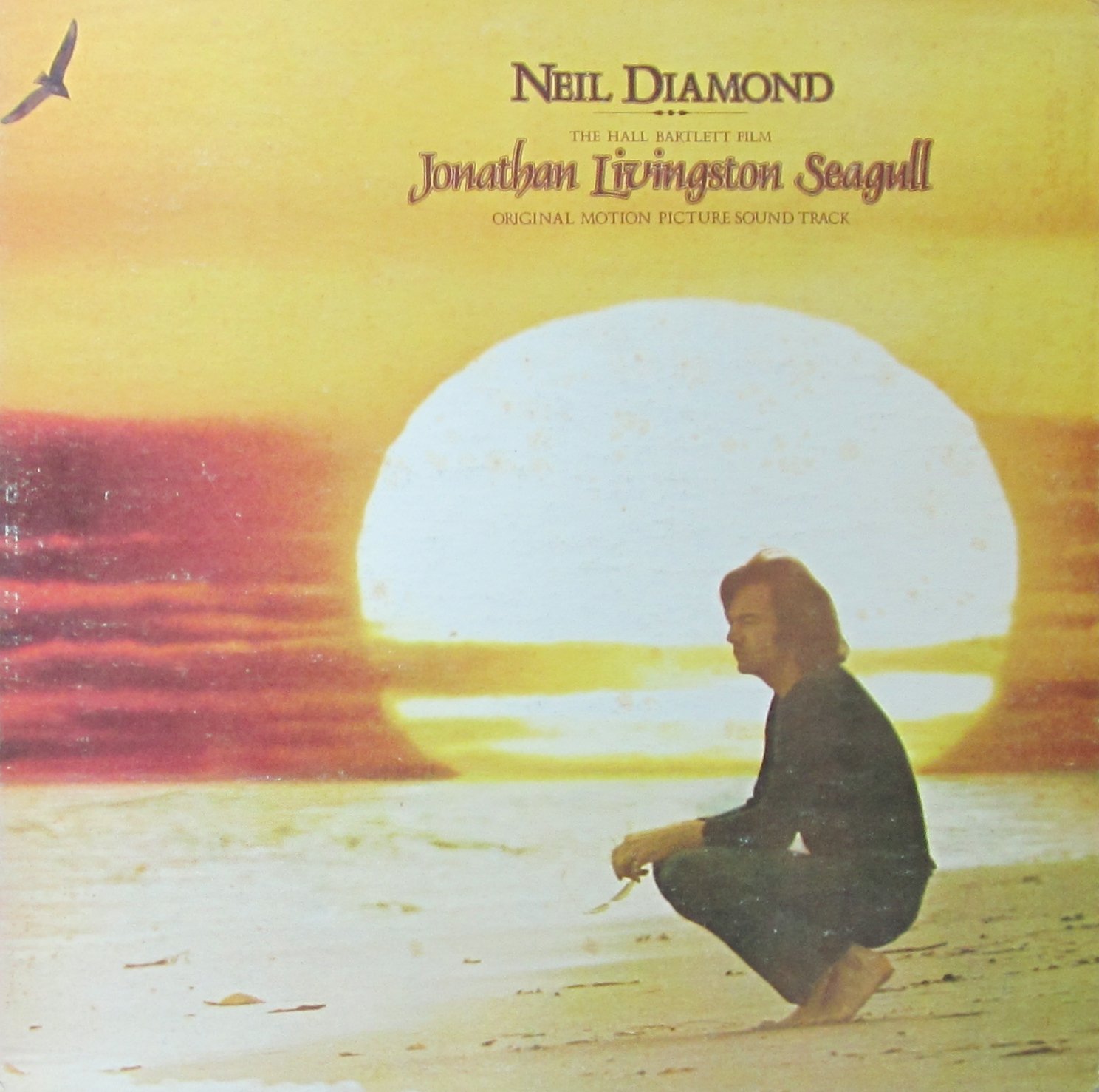 Jonathan Livingston Seagull [Vinyl LP] [Schallplatte] Neil Diamond Amazon.de Musik