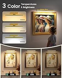 Bridika Picture Lights for Wall Battery Operated