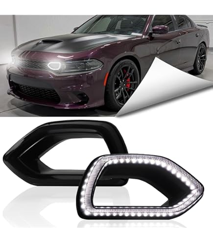 Amazon.com: CONCEPT AUTOMOTIVE LIGHTS Replacement For 2015-2019 Dodge  Charger SRT Fog Lights Lamps Pair and Assembly Set (With Halogen Bulbs) :  Automotive