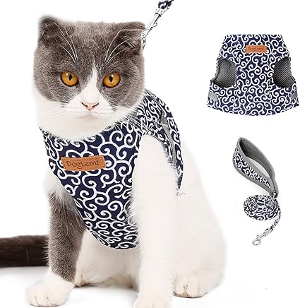 amazon cat harness and lead