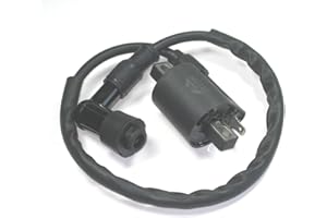 Lumix GC Ignition Coil Module Magneto For DINLI 50CC 90CC 110CC Dino Beast Diamond Back Atv Quad