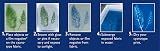 Jacquard Cyanotype Sensitizer Set for Sun Prints on Fabric & Paper view 5