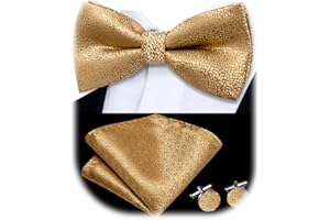 Dubulle Mens Pre-tied Bowtie and Pocket Square Set Paisley/Striped/Checks Bowties for Men