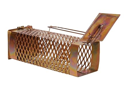 Krisah (21 X 8 X 8 cm) Rat/Mouse/Rodent Trap Cage (1, Small)
