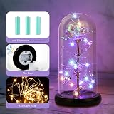GARELF Eternal Rose Flower in Glass Dome - Romantic Gift for Her view 4