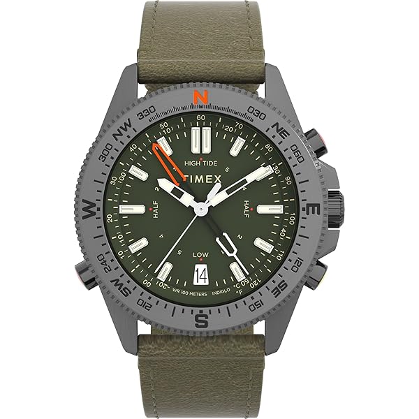 Amazon.com: Timex Men's Expedition North Tide-Temp-Compass 43mm