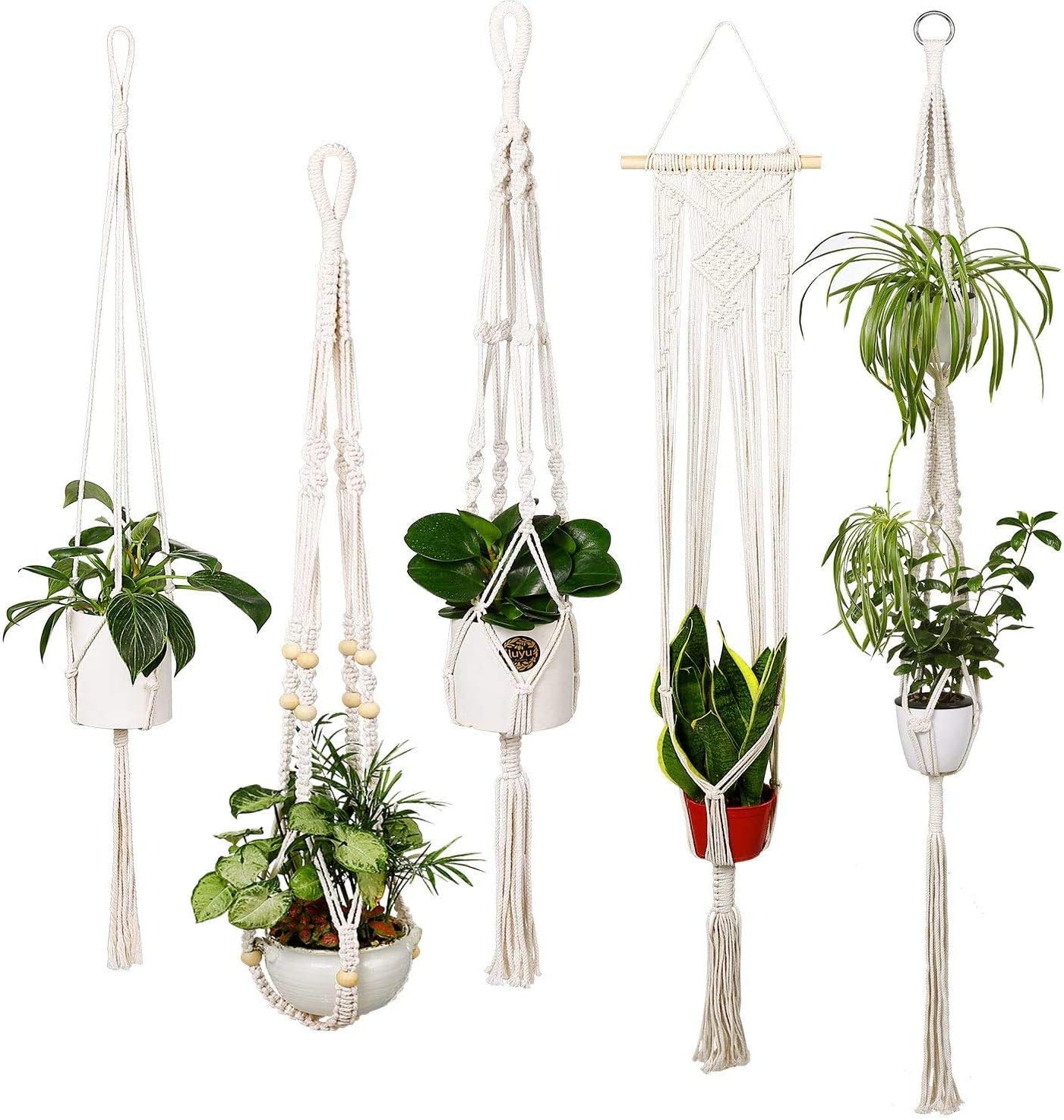 5 Pack Plant Hanger