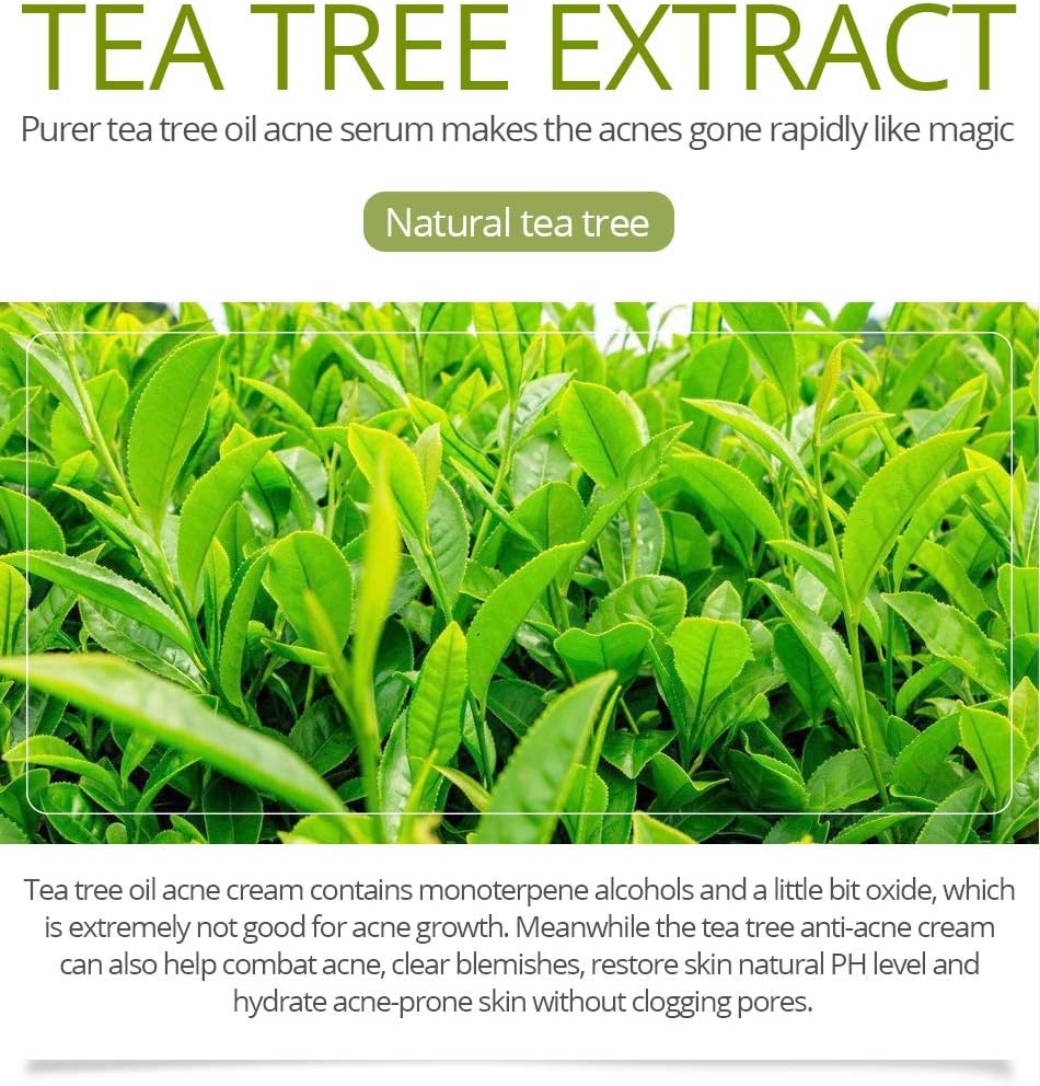 green tea anti acne essence cream