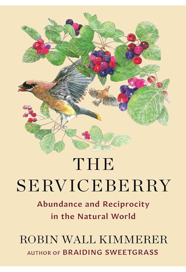 The Handbook of Contemporary Animism (Acumen Handbooks): Harvey